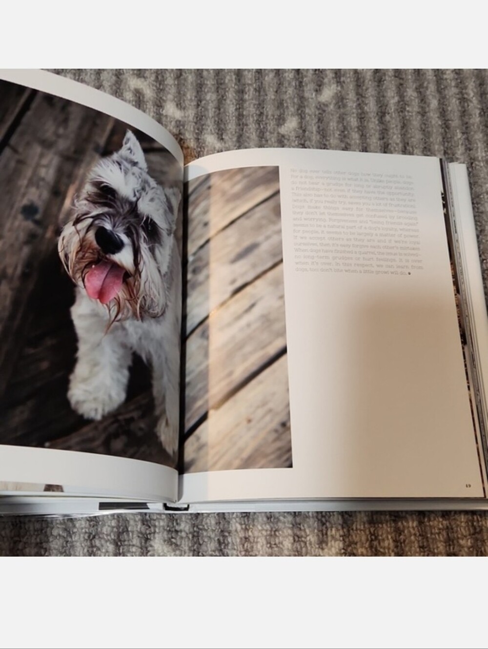 For The Love Of Dogs Book by Katharina von der Leyen - Picture 12 of 17